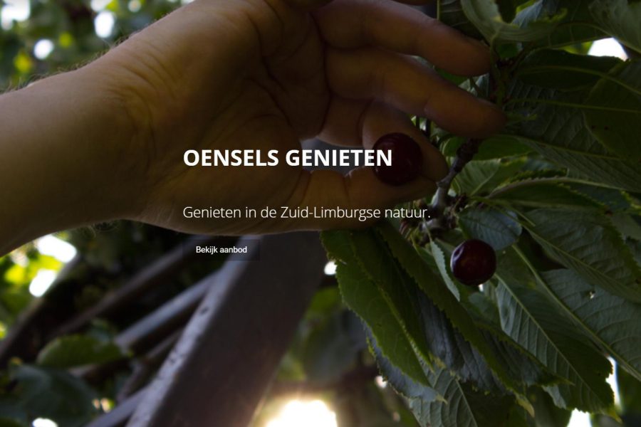 Intro afbeelding van de Oensels fruitweike pagina